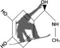 Logo sección Adrenalina de AQuemarropa