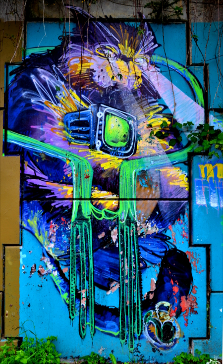 Graffiti en el Campo de Fútbol de A Malata, Ferrol
