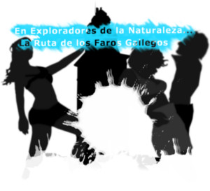 Logo de esta sección