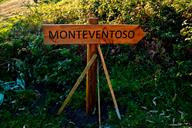 cartel-monteventoso